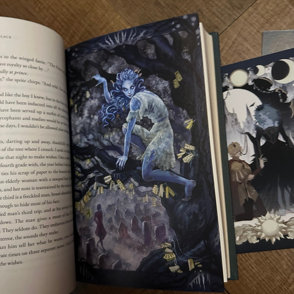 The Stolen Heir Litjoy - Picture 5 of 7